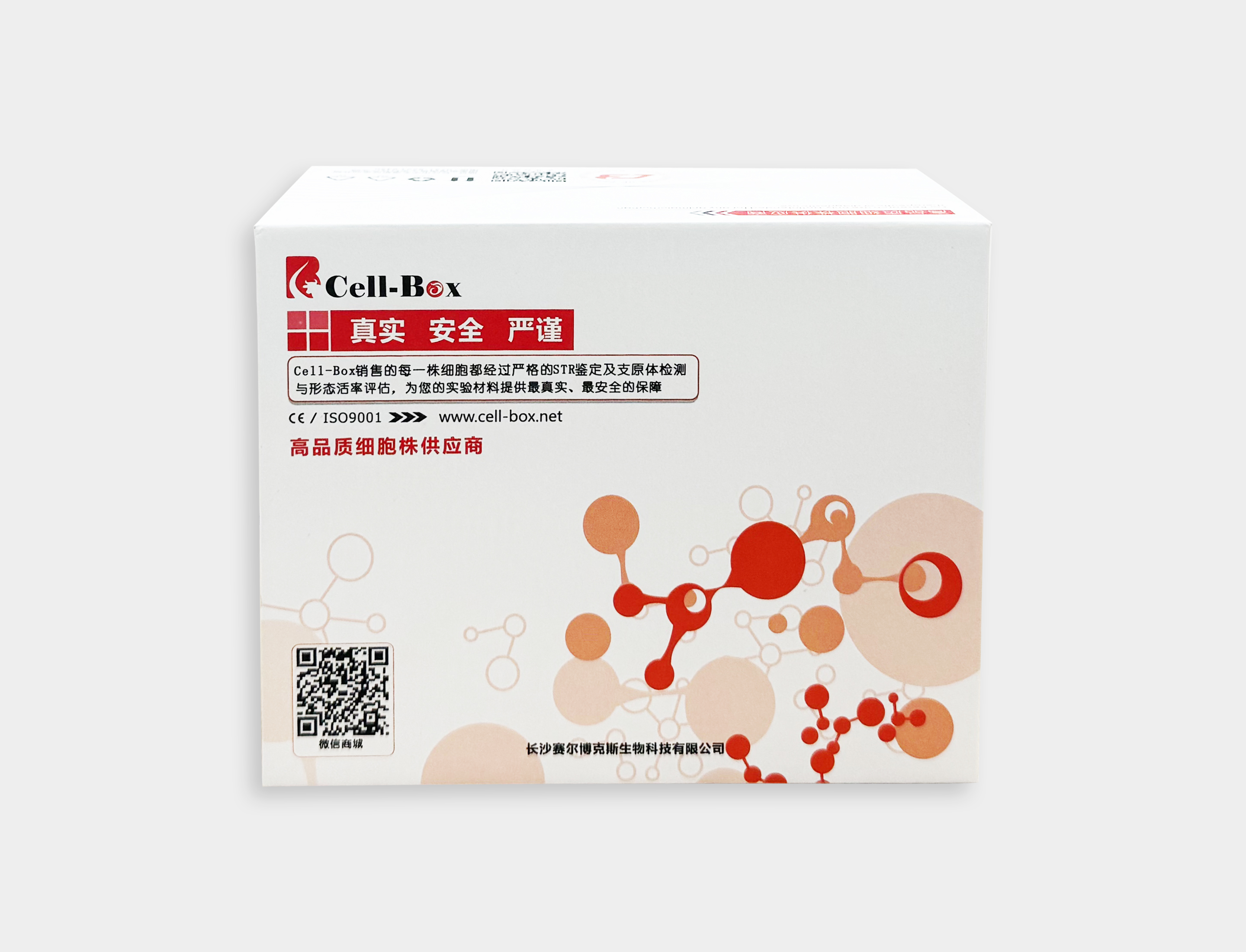 СƤϸHK-2